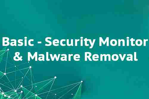 Basic - Security Monitor & Malware Removal
