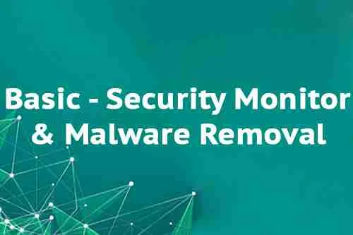 Basic - Security Monitor & Malware Removal