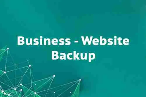 Business - Website Backup Business - Website Backup