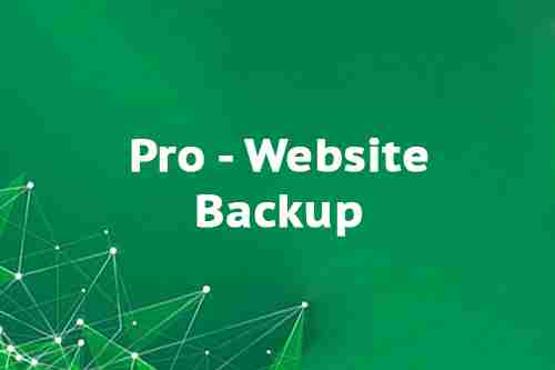 Pro - Website Backup