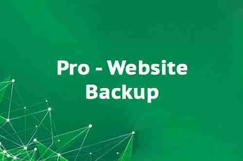 Pro - Website Backup