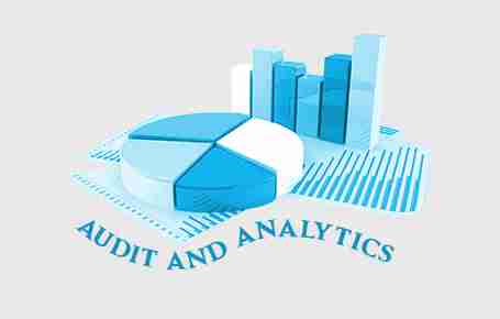 Audit & Analytics