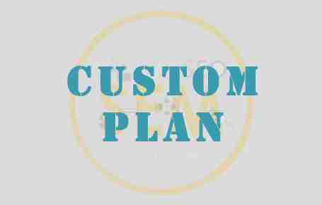 Custom Plan