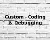 Custom Coding & Debugging