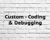 Custom Coding & Debugging