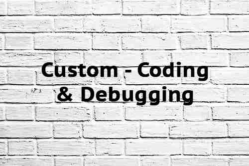 Custom – Coding & Debugging
