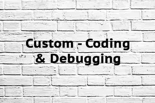 Custom Coding & Debugging