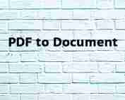 PDF to Document