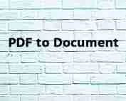 Da PDF a documento PDF to Document