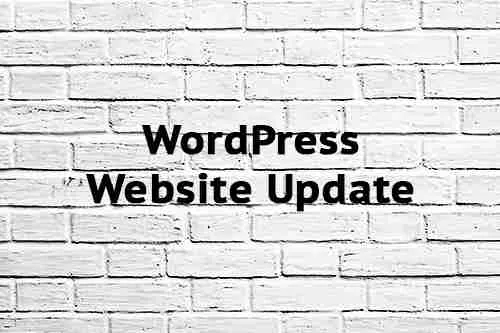 WordPress Website Update