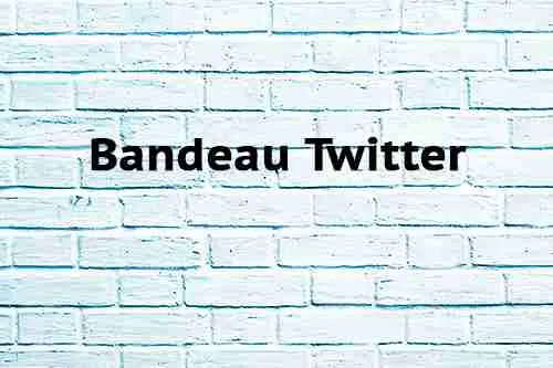 Bandeau Twitter