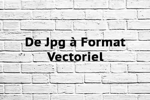 De Jpg à Format Vectoriel