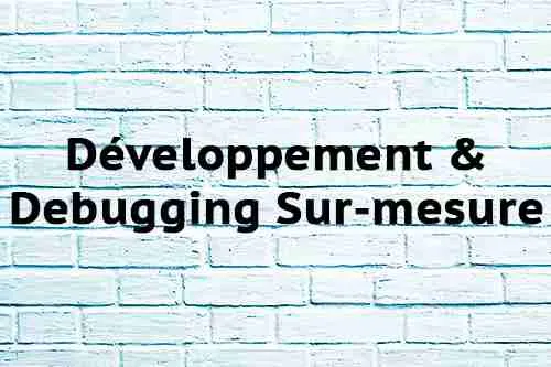 Développement & Debugging Sur – mesure