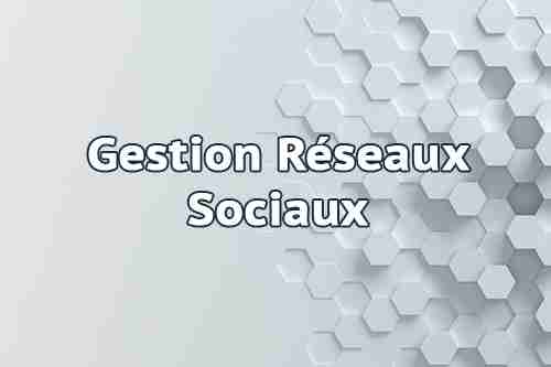 Gestion Réseaux Sociaux