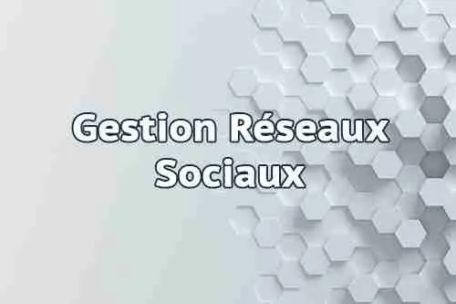 Gestion Réseaux Sociaux