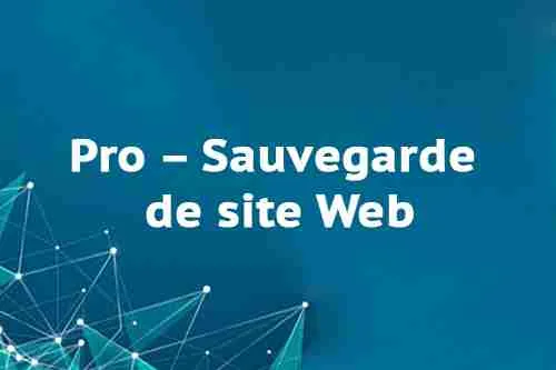Pro – Sauvegarde de site Web