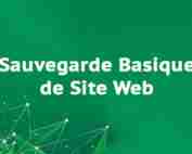 Sauvegarde-Basique-de-Site-Web