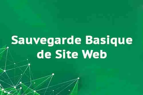 Business - Sauvegarde de site Web Business - Sauvegarde de site Web