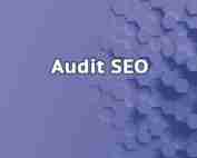audit seo