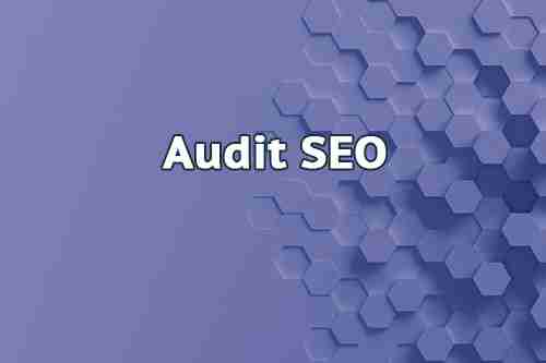 audit seo