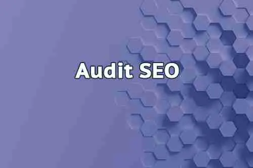 Audit SEO Audit SEO