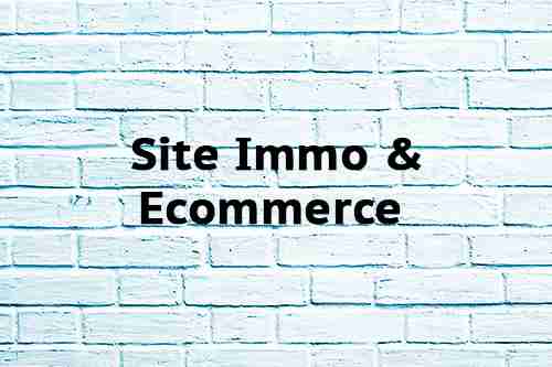 Site Immo & Ecommerce