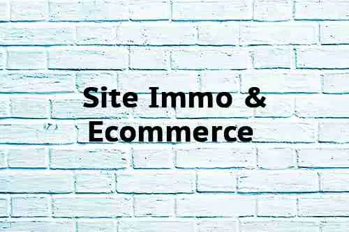 Site Immo & Ecommerce