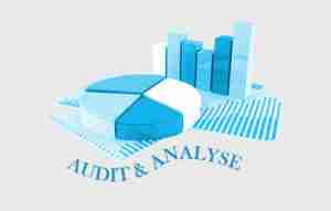 audit & analyse