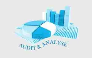 audit & analyse