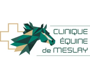 Clinique Equine de Meslay clinique-equine-de meslay