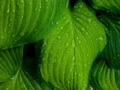 ¿Qué colores son los mejores para su negocio? naranja