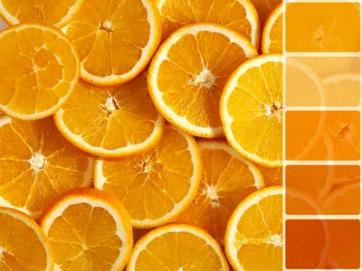 ¿Qué colores son los mejores para su negocio? naranja