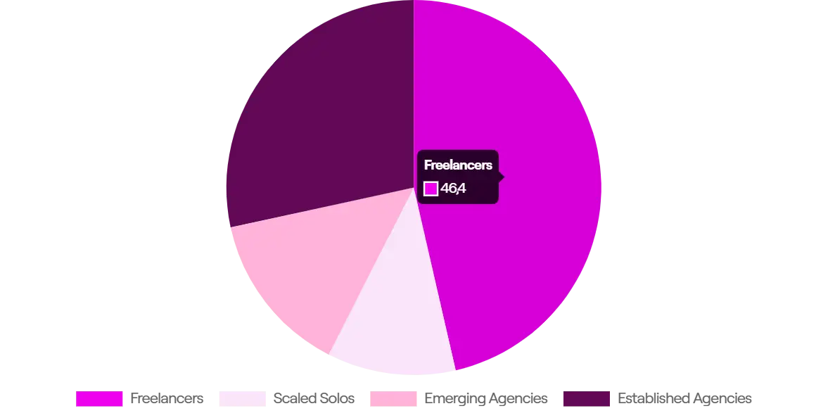 Pie chart showing the distribution of agency segments: 46.4% Freelancers, 28% Established Agencies, 14% Emerging Agencies, and 11% Scaled Solos.